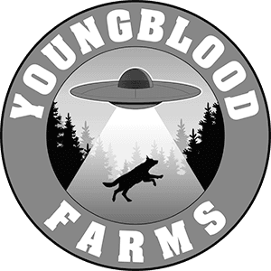 Youngblood Logo